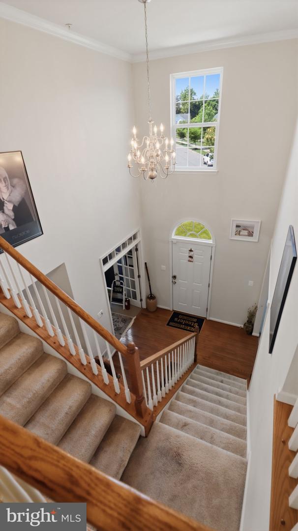 6707 Sandy View Ct Property Photo 29
