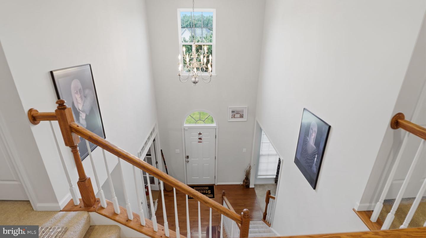 6707 Sandy View Ct Property Photo 53