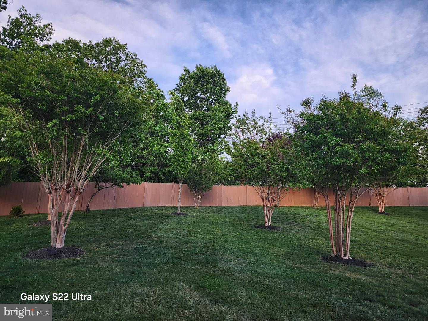 6707 Sandy View Ct Property Photo 70
