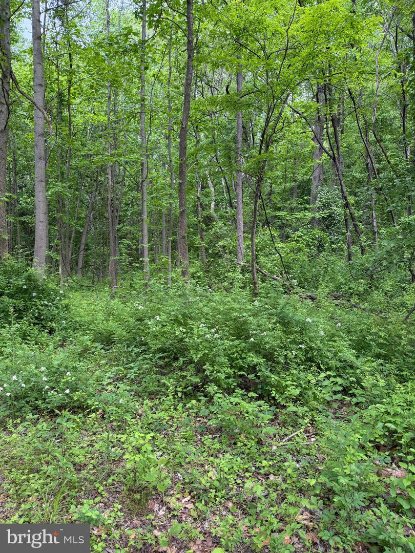 Hideout Ln Property Photo 2