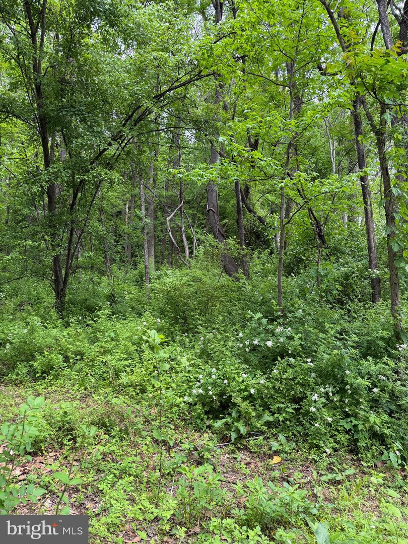 Hideout Ln Property Photo 3