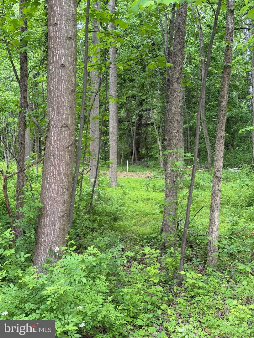 Hideout Ln Property Photo 4
