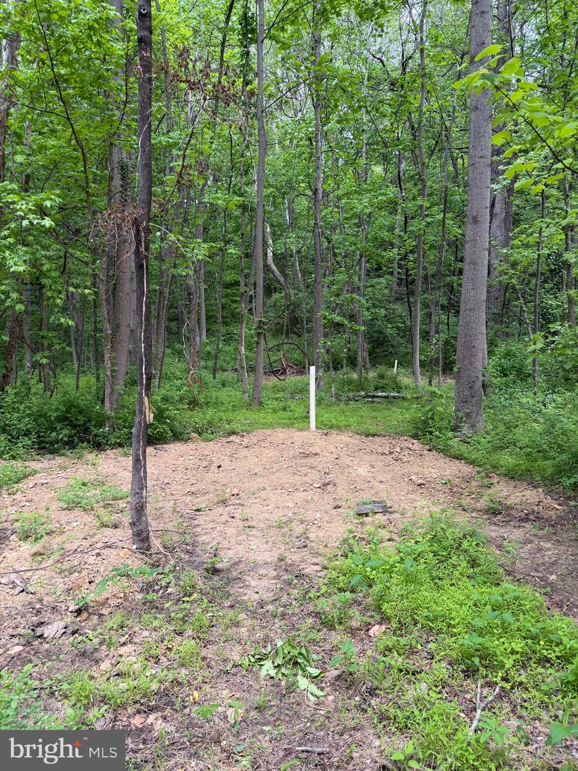 Hideout Ln Property Photo 5