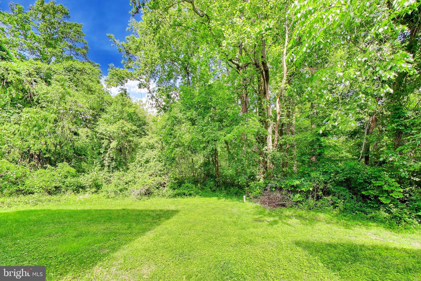 13402 Marburg Ln Property Photo 63