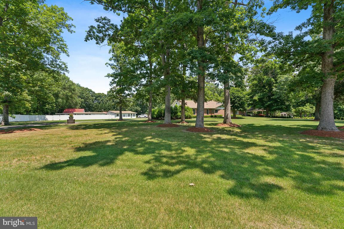 1211 Pine Ln Property Photo 5