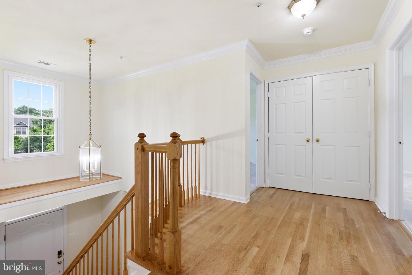 10003 Goose Pond Ct Property Photo 19
