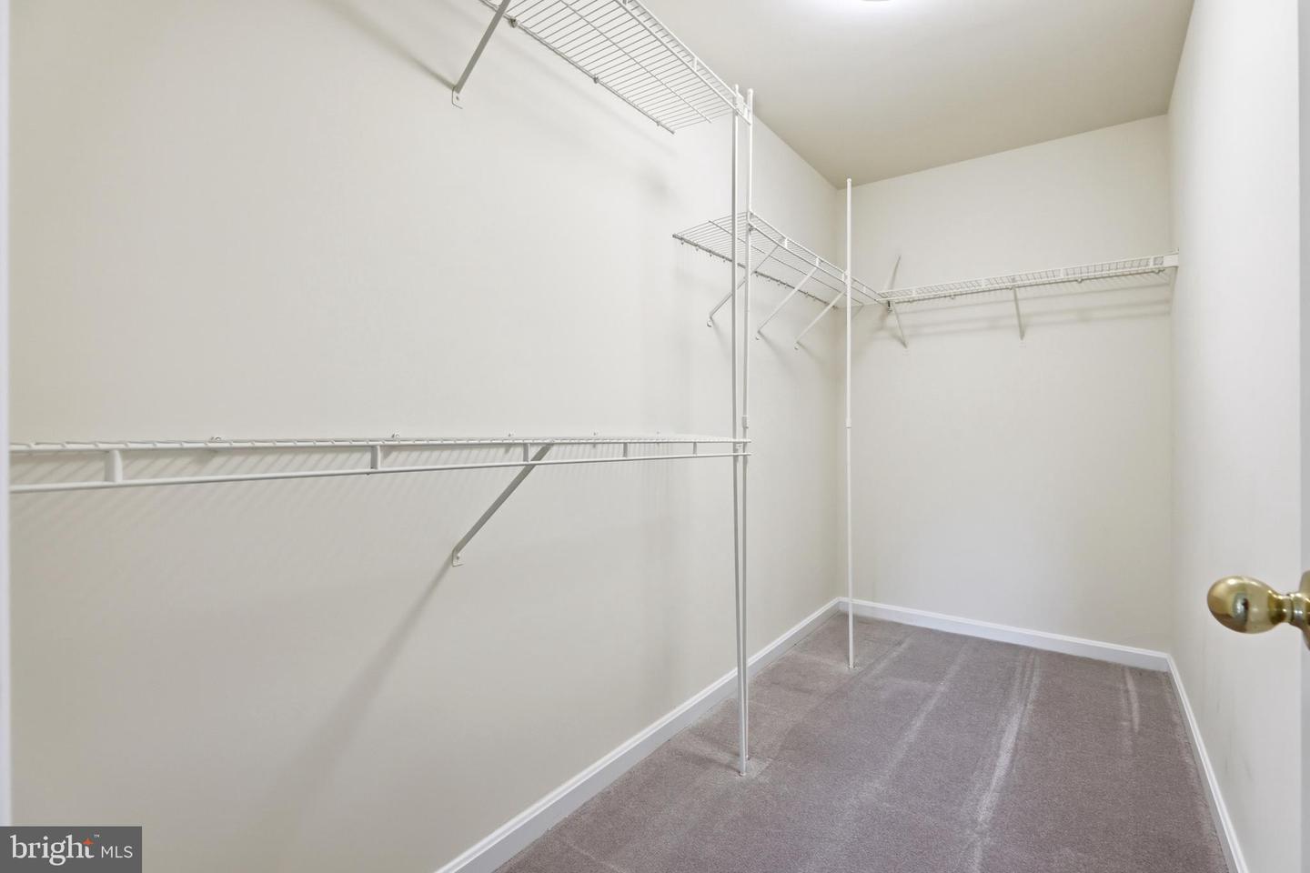 10003 Goose Pond Ct Property Photo 24