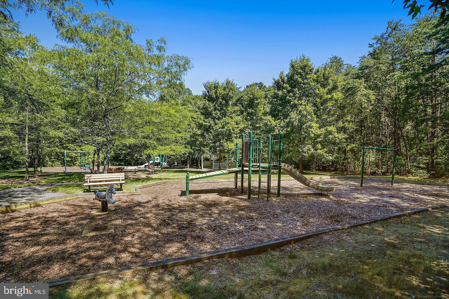 10003 Goose Pond Ct Property Photo 44