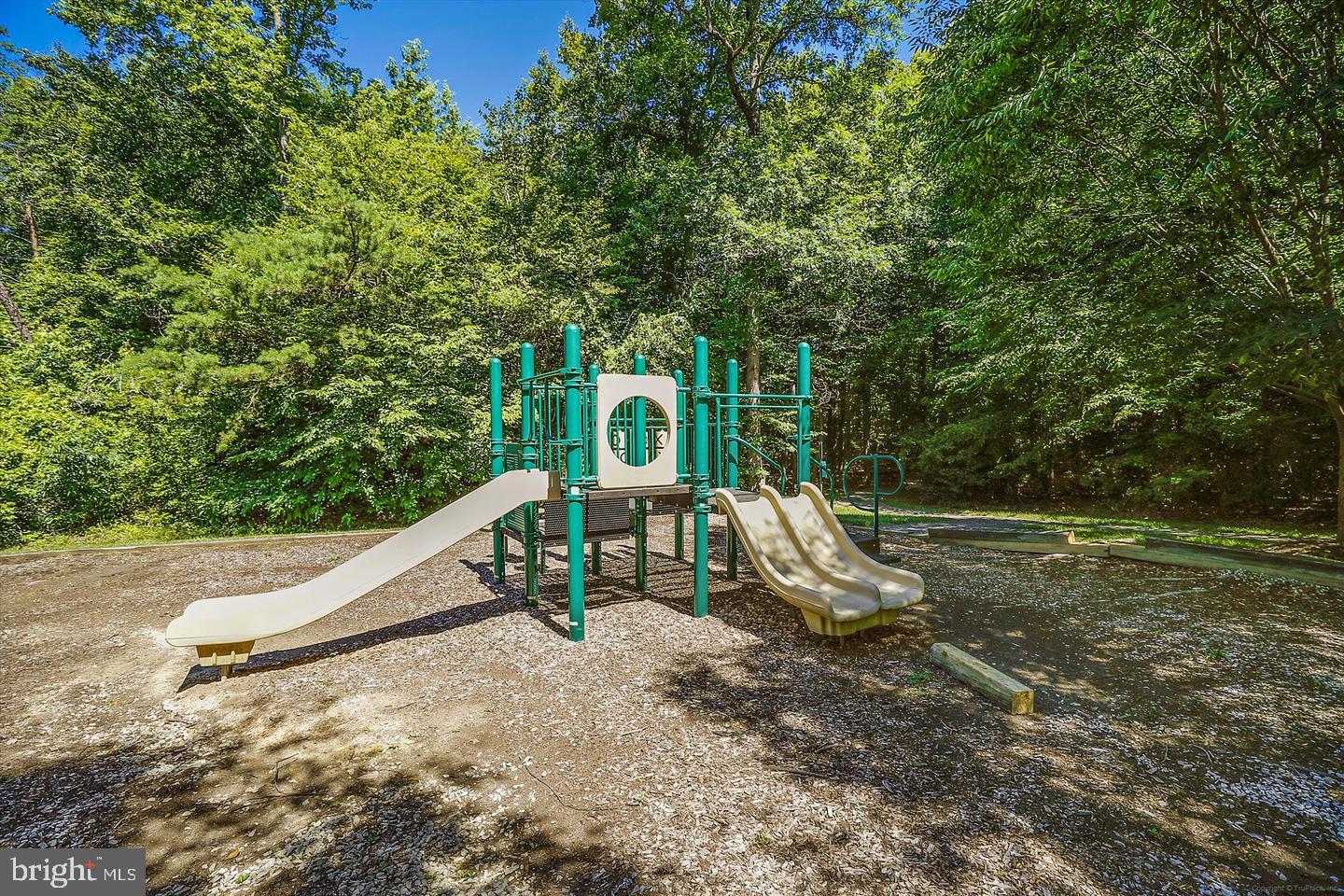 10003 Goose Pond Ct Property Photo 46