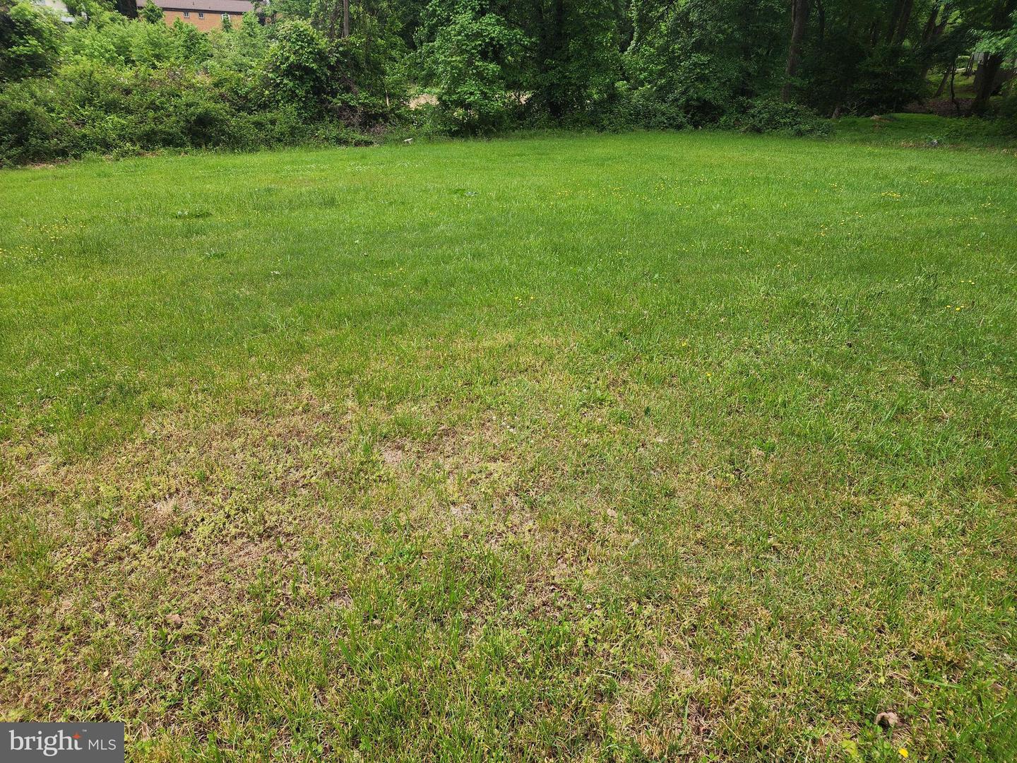 6208 Walton Ave Property Photo 3