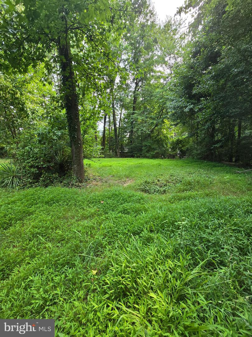 12101 Duckettown Rd Property Photo 45