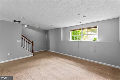 10907 Daniel Sim Ct Property Photo 24