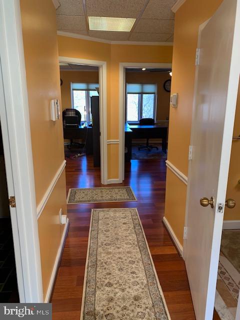 7327-c Hanover Pkwy #c Property Photo 6