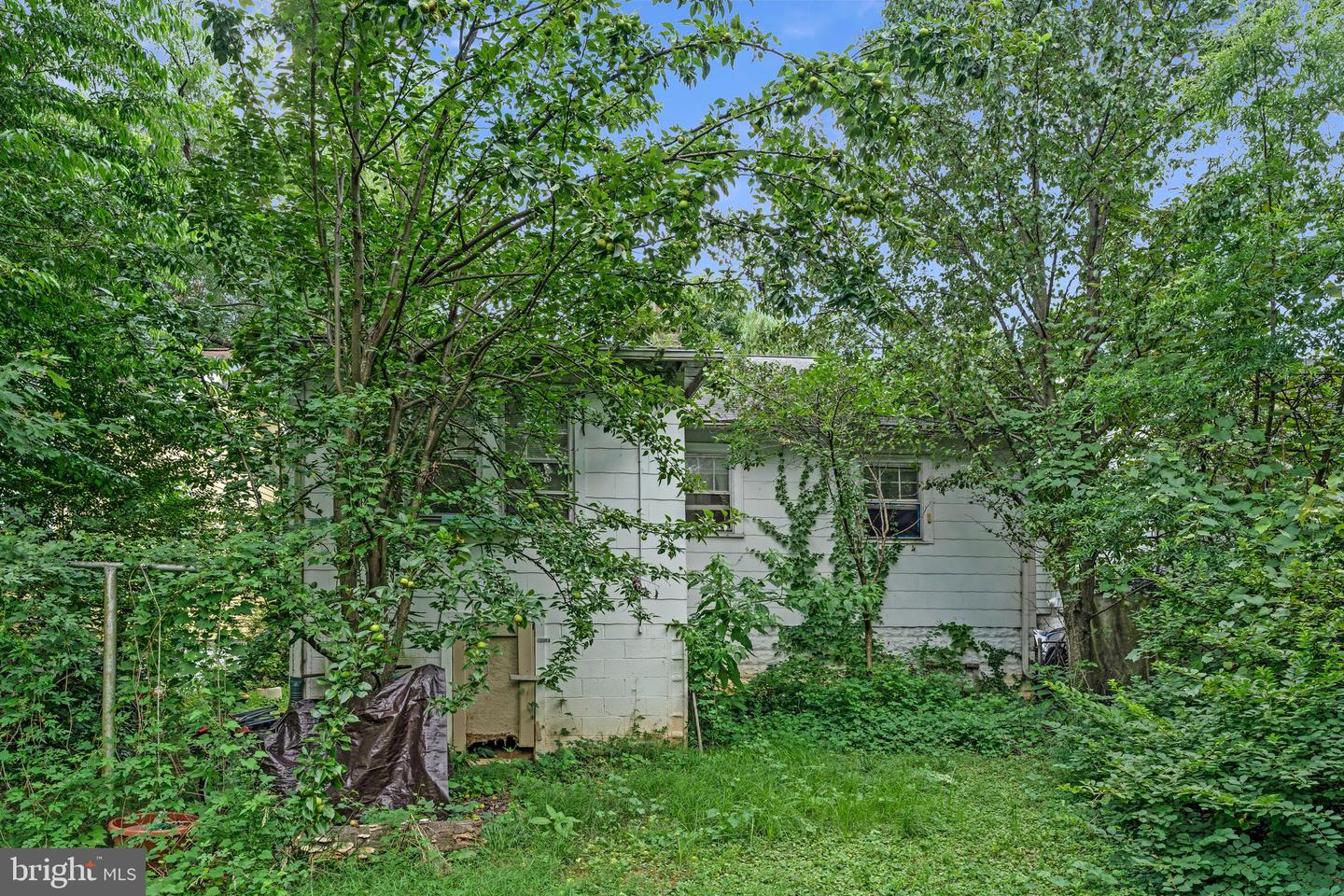 3710 Shepherd St Property Photo 3