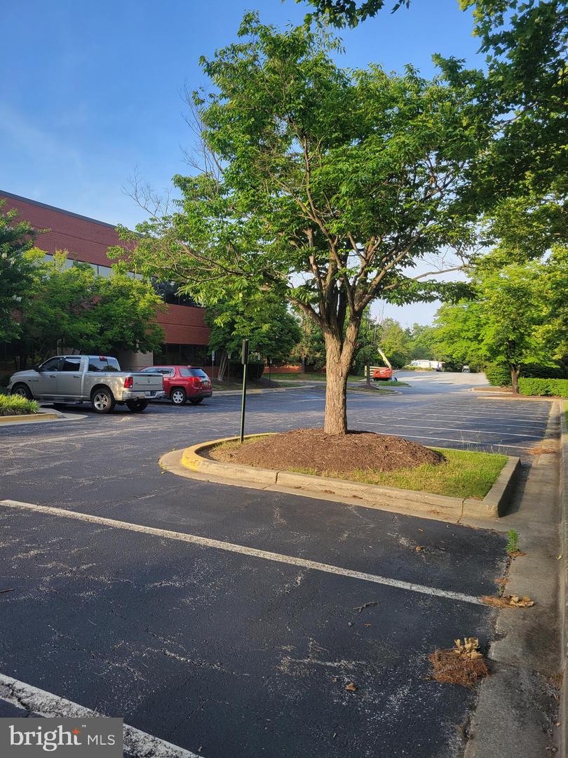 4221 Forbes Blvd #220 Property Photo 2