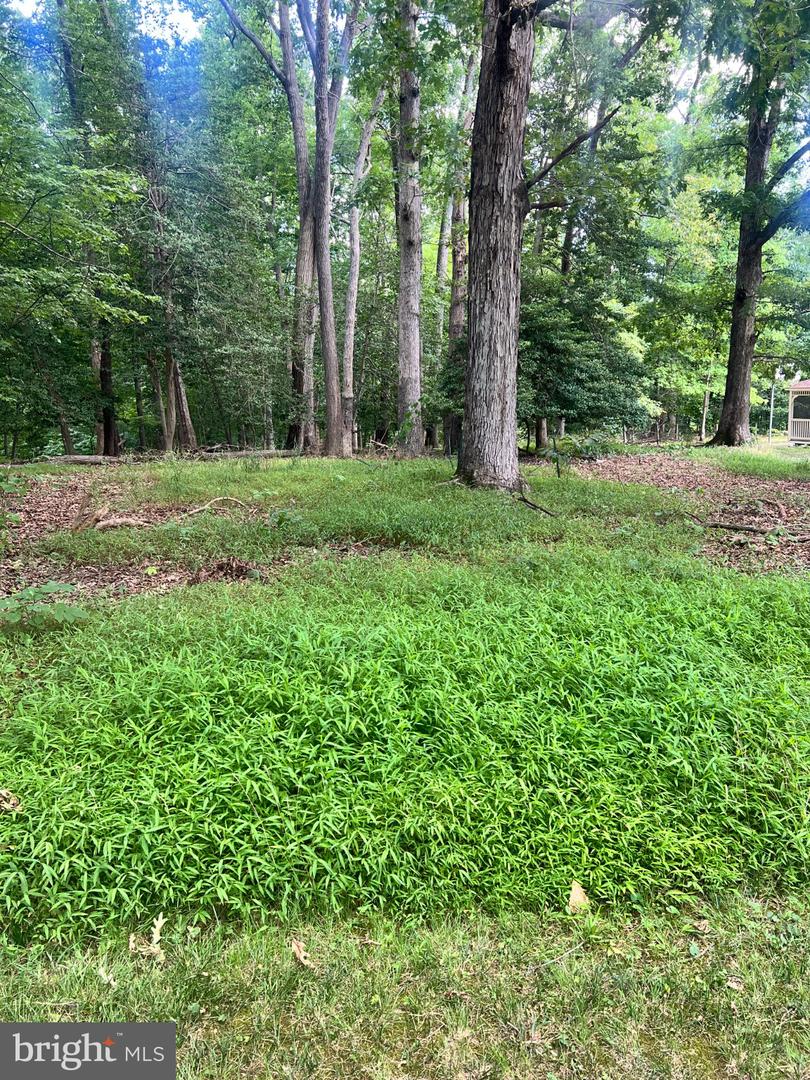 12955 Old Fort Rd Property Photo 1