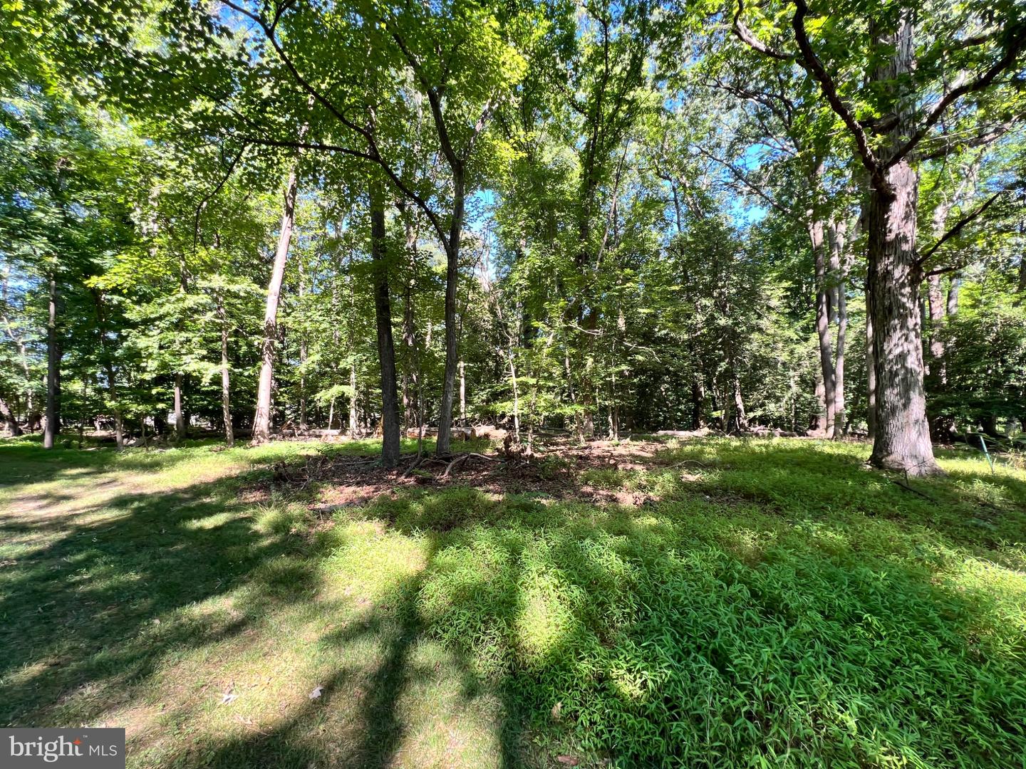 12955 Old Fort Rd Property Photo 2