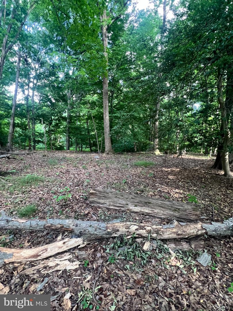 12955 Old Fort Rd Property Photo 5