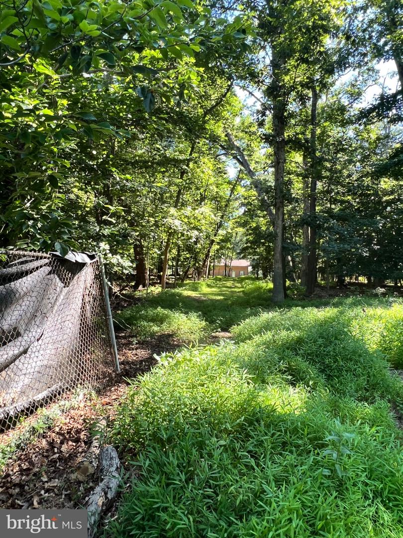 12955 Old Fort Rd Property Photo 6