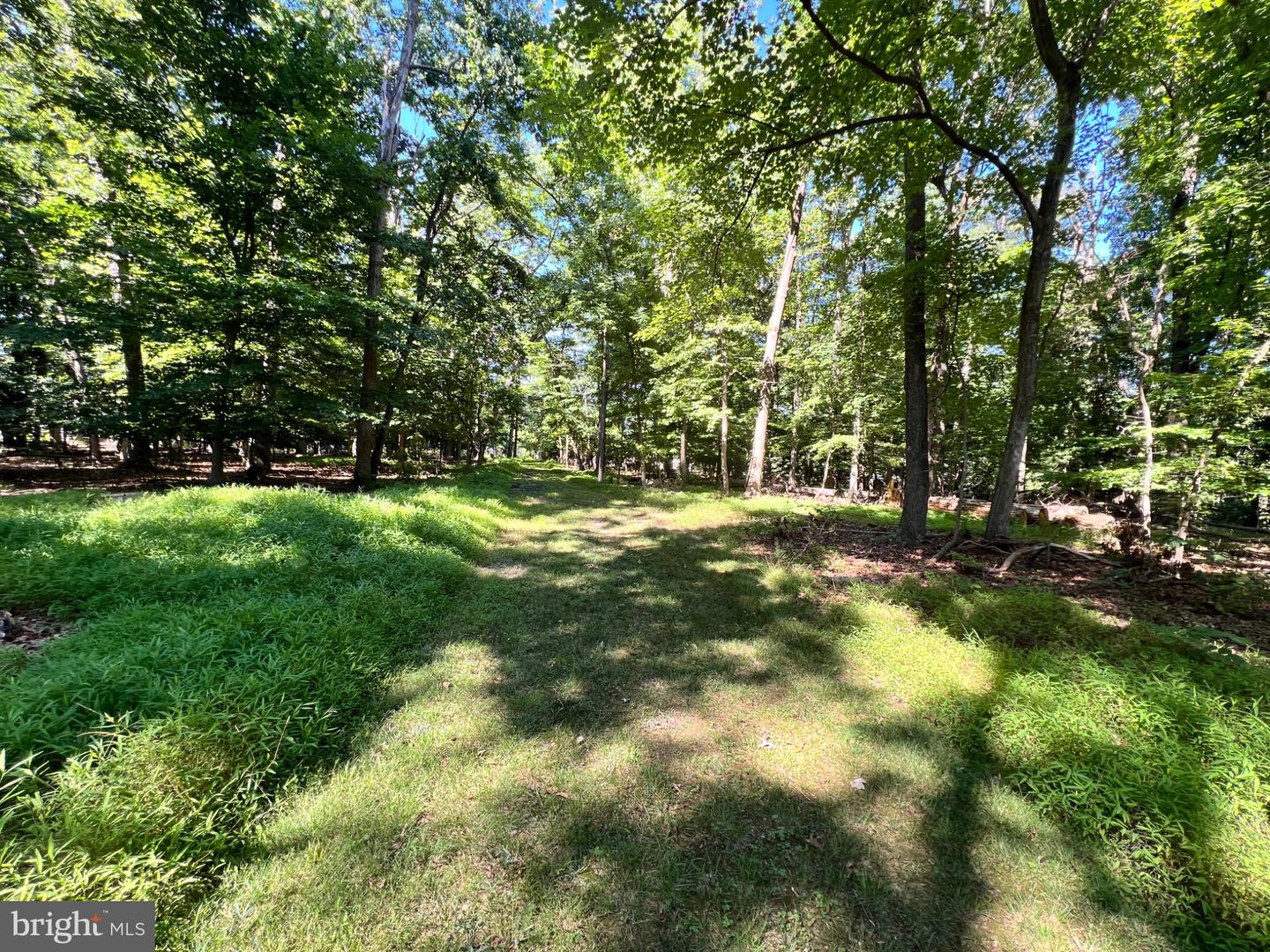 12955 Old Fort Rd Property Photo 7