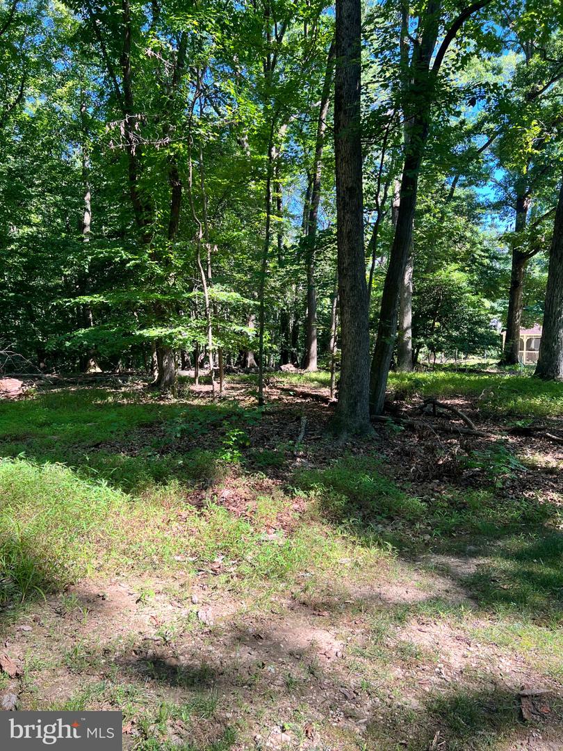 12955 Old Fort Rd Property Photo 8