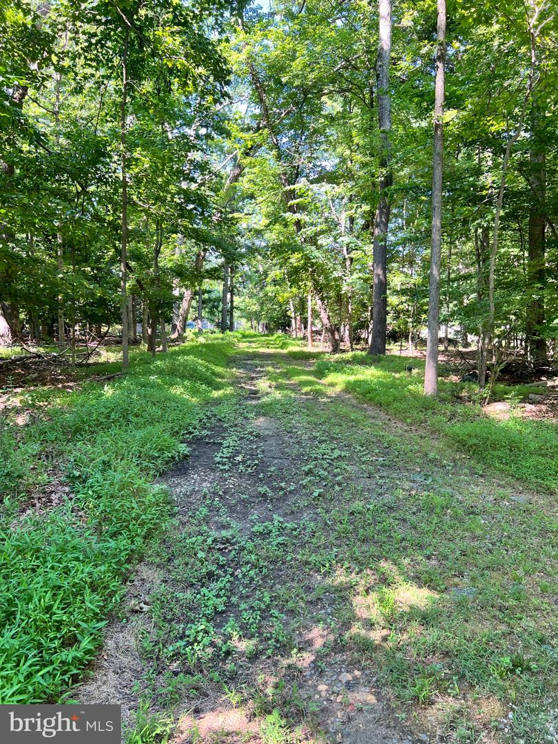 12955 Old Fort Rd Property Photo 9
