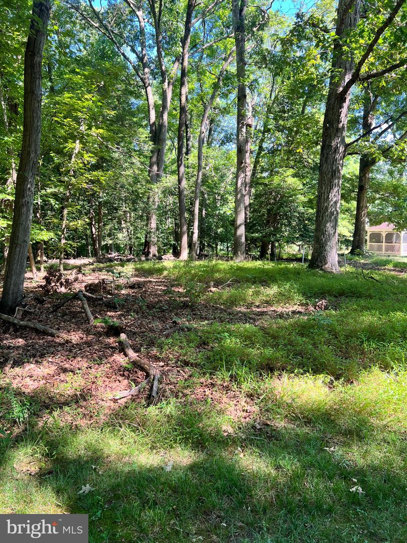 12955 Old Fort Rd Property Photo 10