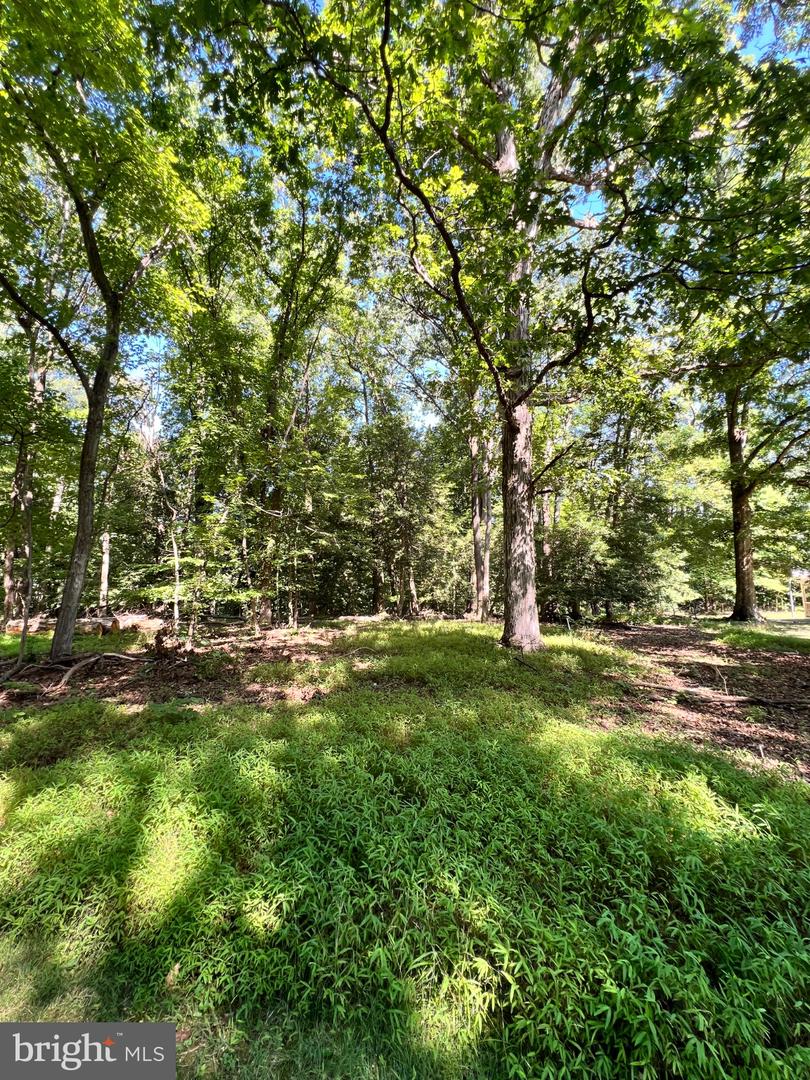 12955 Old Fort Rd Property Photo 11