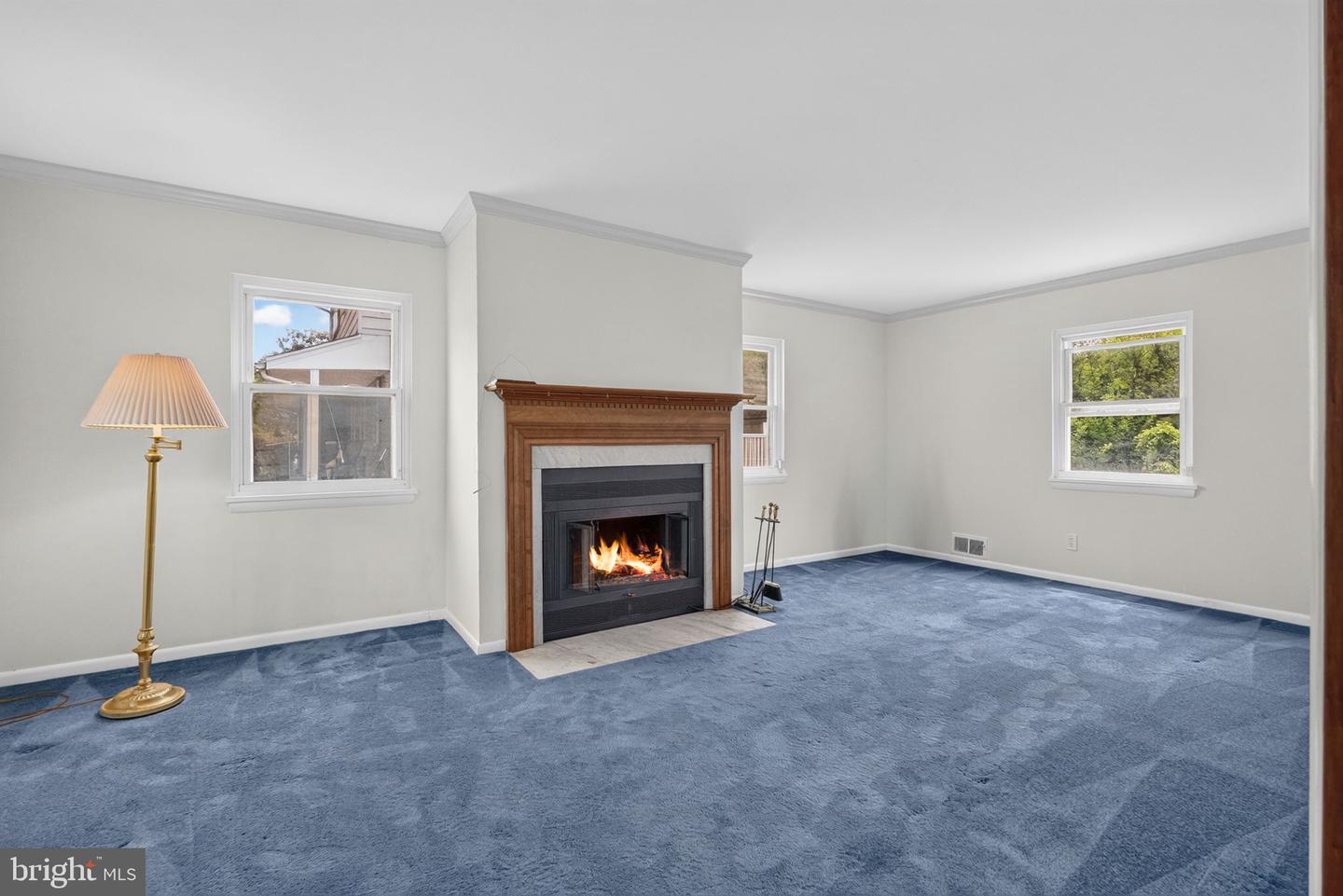 7203 Longbranch Dr Property Photo 4