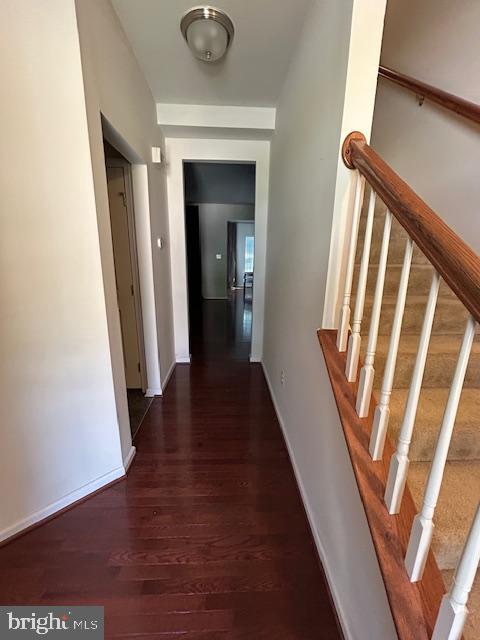 9507 Piaffe Cir Property Photo 2