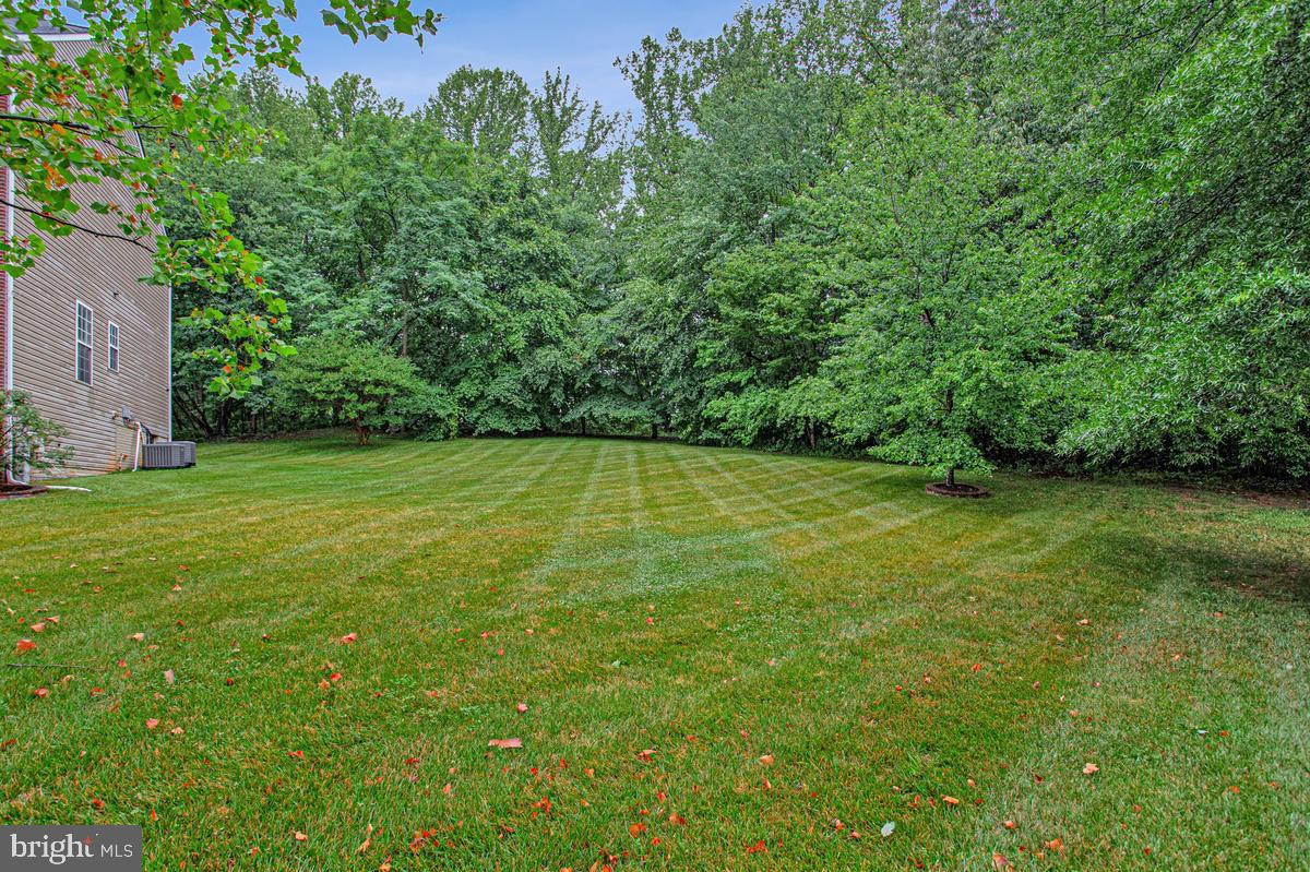 5209 Devonport Ct Property Photo 53