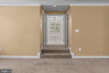 8418 Poplar Hill Dr Property Photo 19