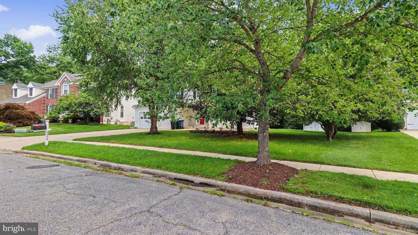 8604 Cory Dr Property Photo 4