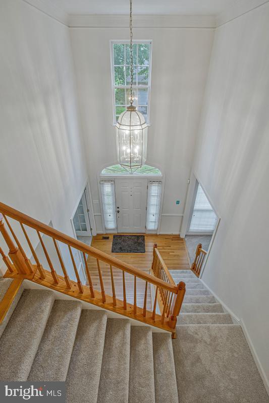 2310 Nicol Cir Property Photo 25