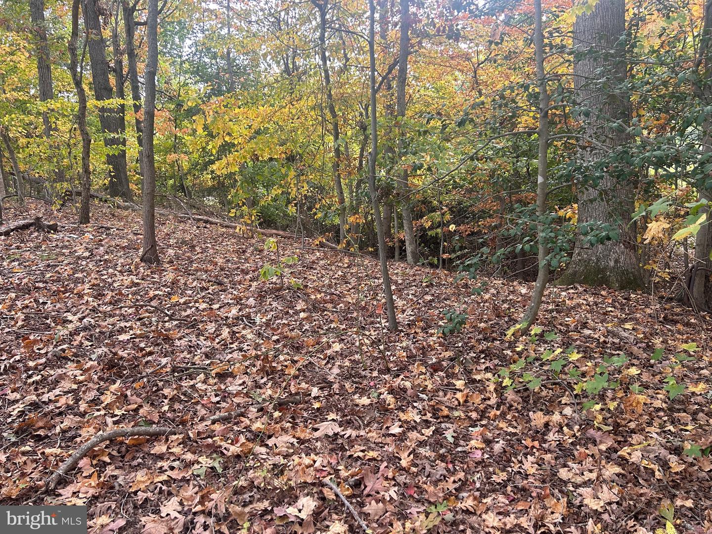 Bock Rd Property Photo 2