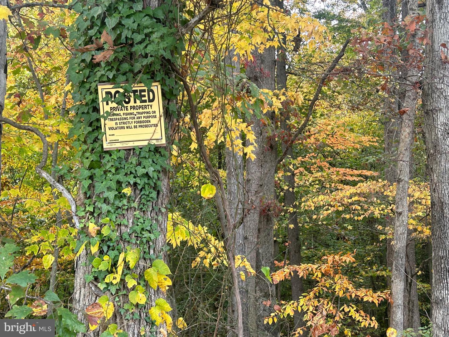 Bock Rd Property Photo 4