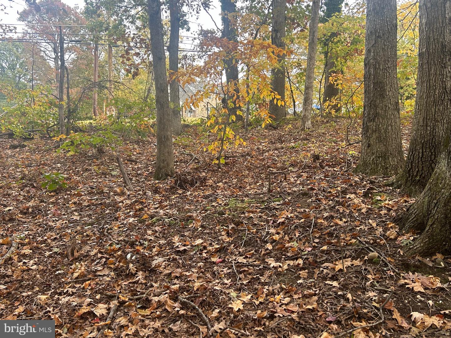 Bock Rd Property Photo 7