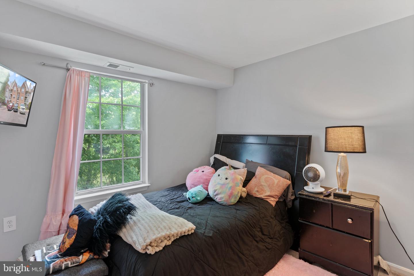 9720 Lake Pointe Ct #204 Property Photo 12