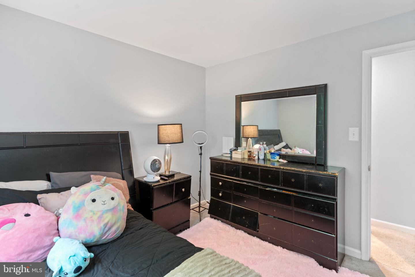 9720 Lake Pointe Ct #204 Property Photo 13