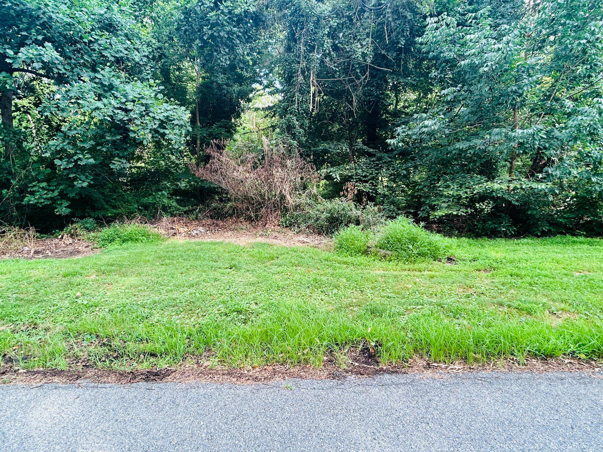 14500 Leonard Calvert Dr Property Photo 3