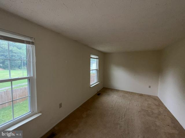 11343 Joyceton Dr Property Photo 10
