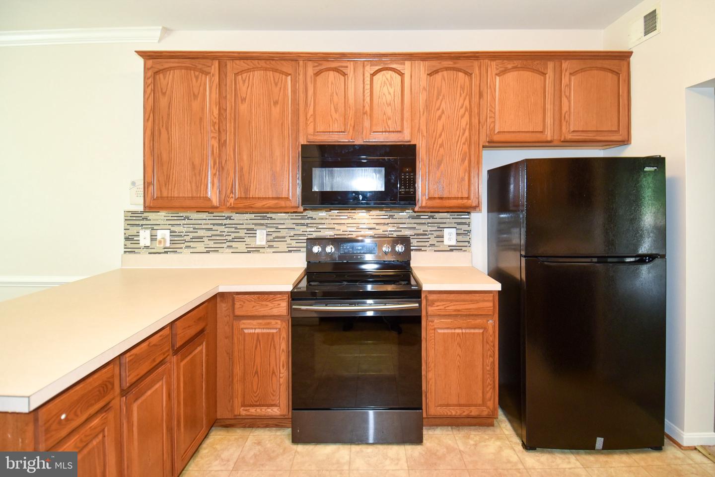 15511 Kennett Square Way Property Photo 2