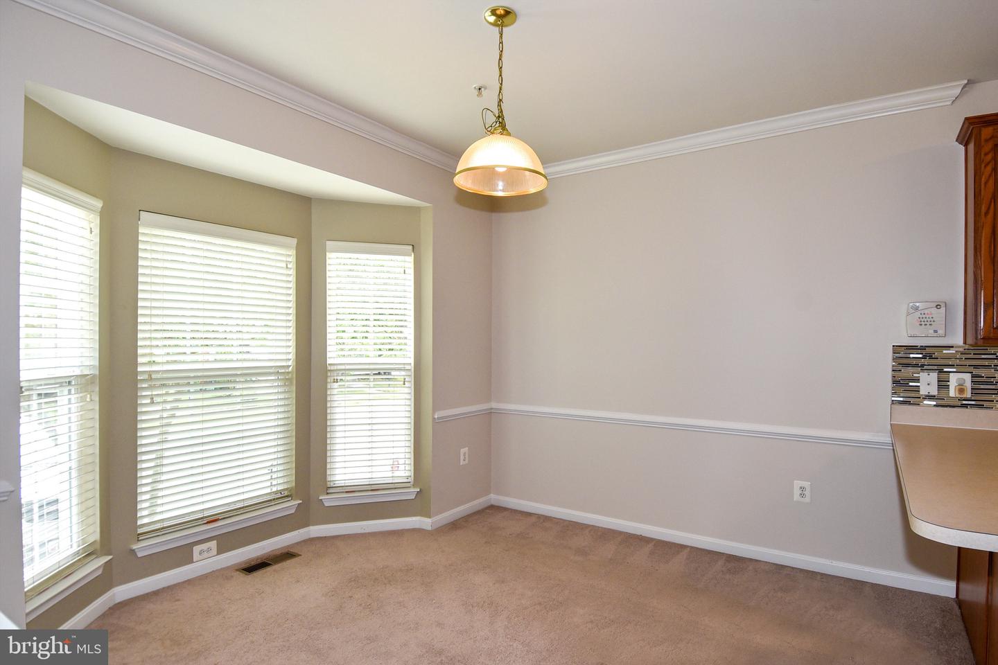 15511 Kennett Square Way Property Photo 10