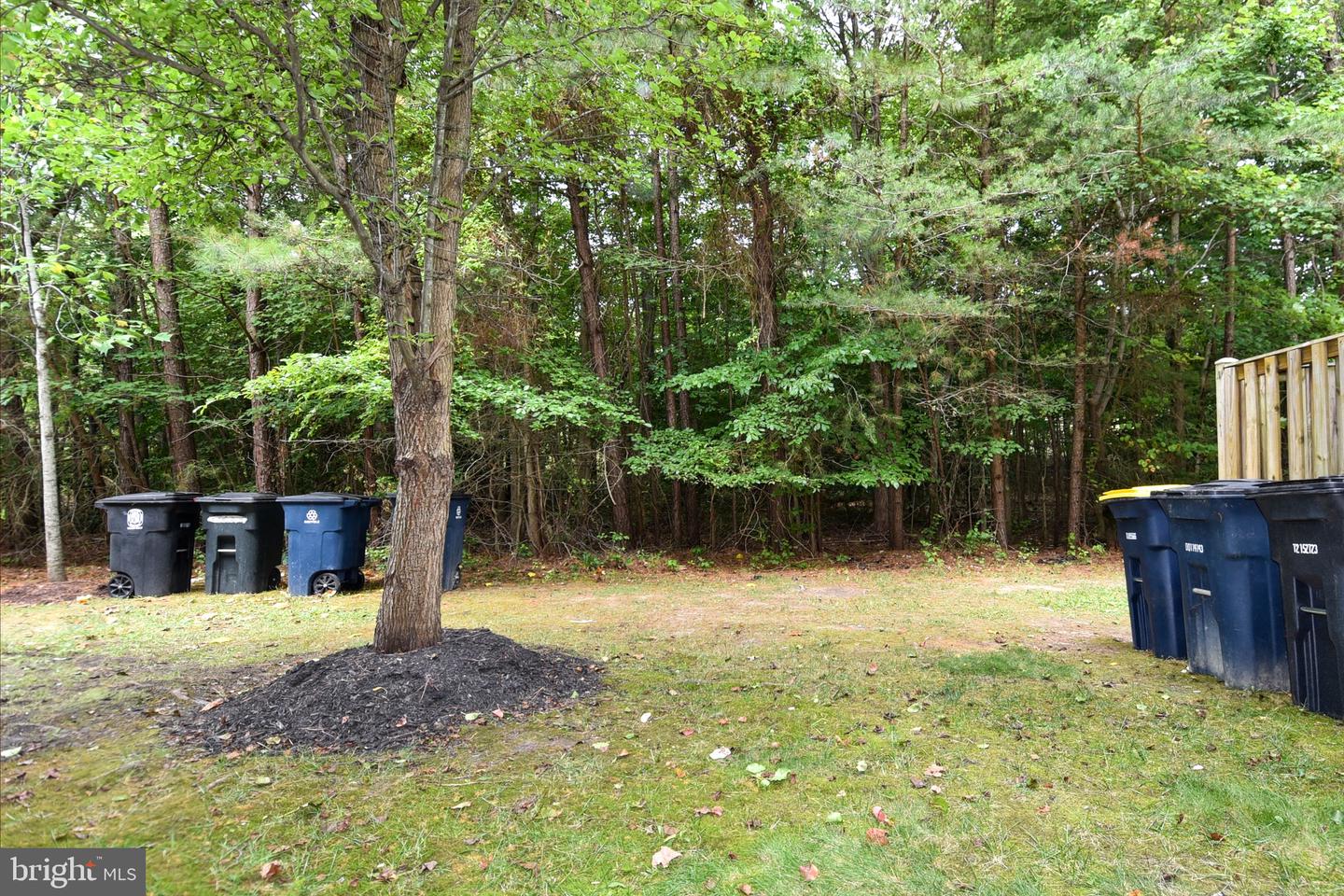 15511 Kennett Square Way Property Photo 44