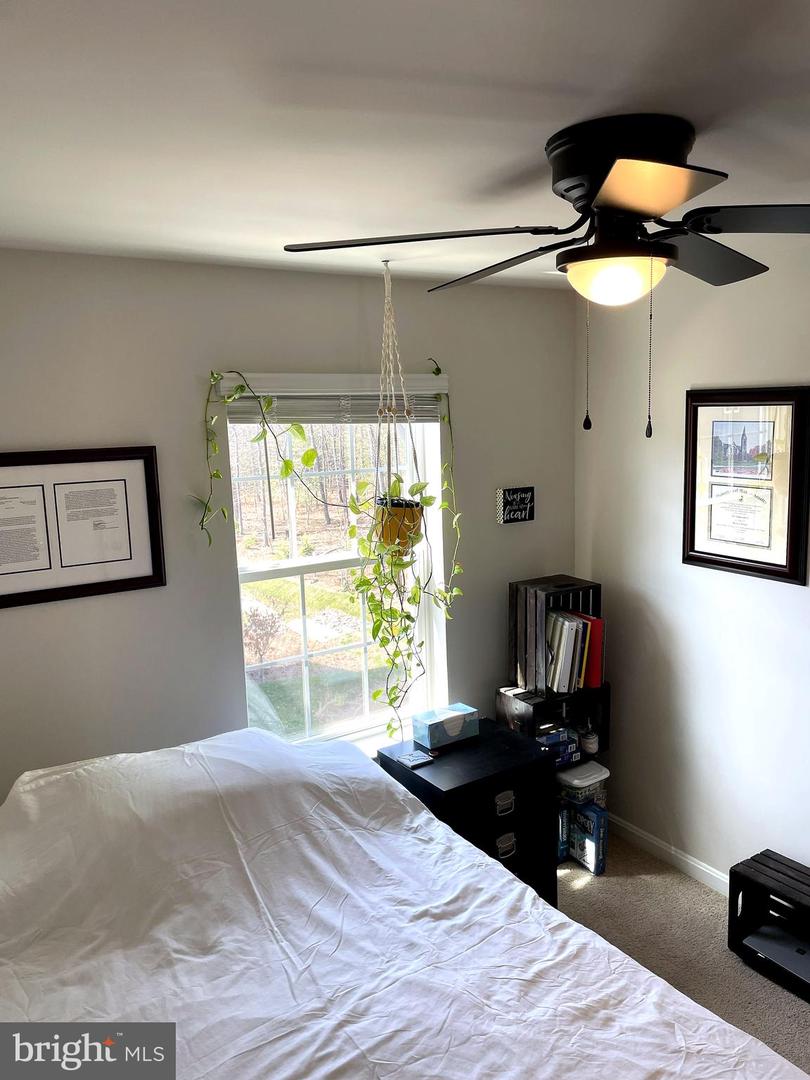 6510 Spoonbill Way Property Photo 49