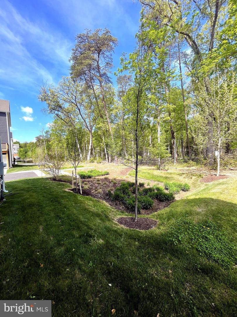 6510 Spoonbill Way Property Photo 77