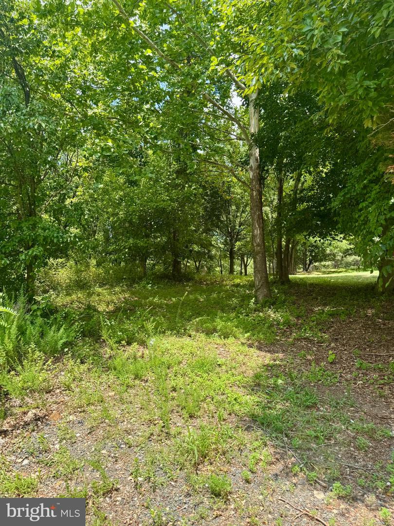 9914 OLD FORT RD Property Photo 1