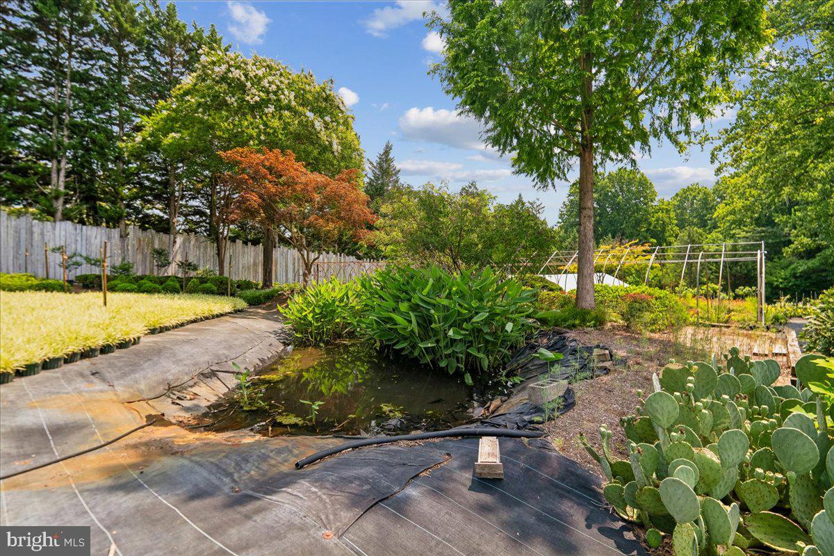 1301 Old Mitchellville Property Photo 91
