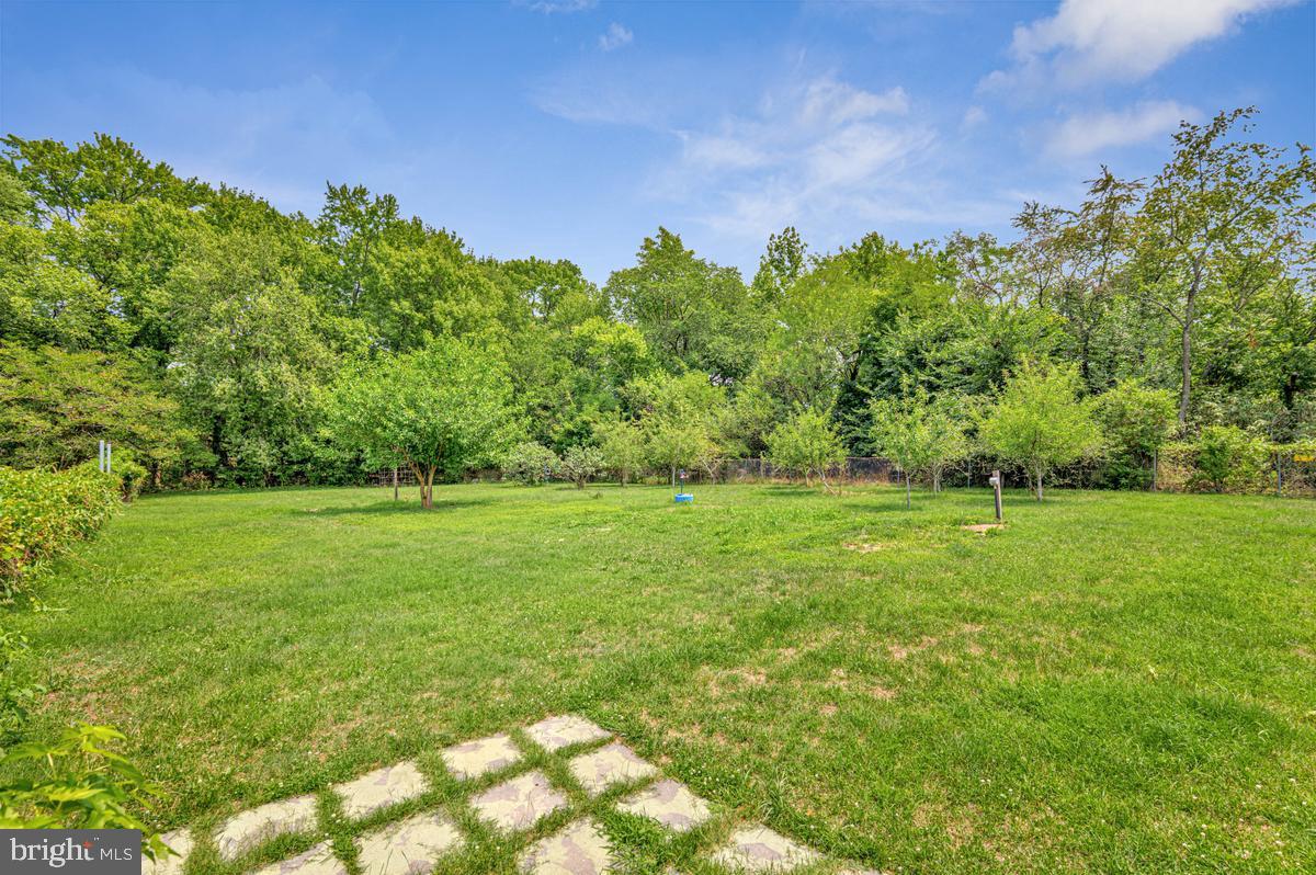 6614 Horseshoe Rd Property Photo 36