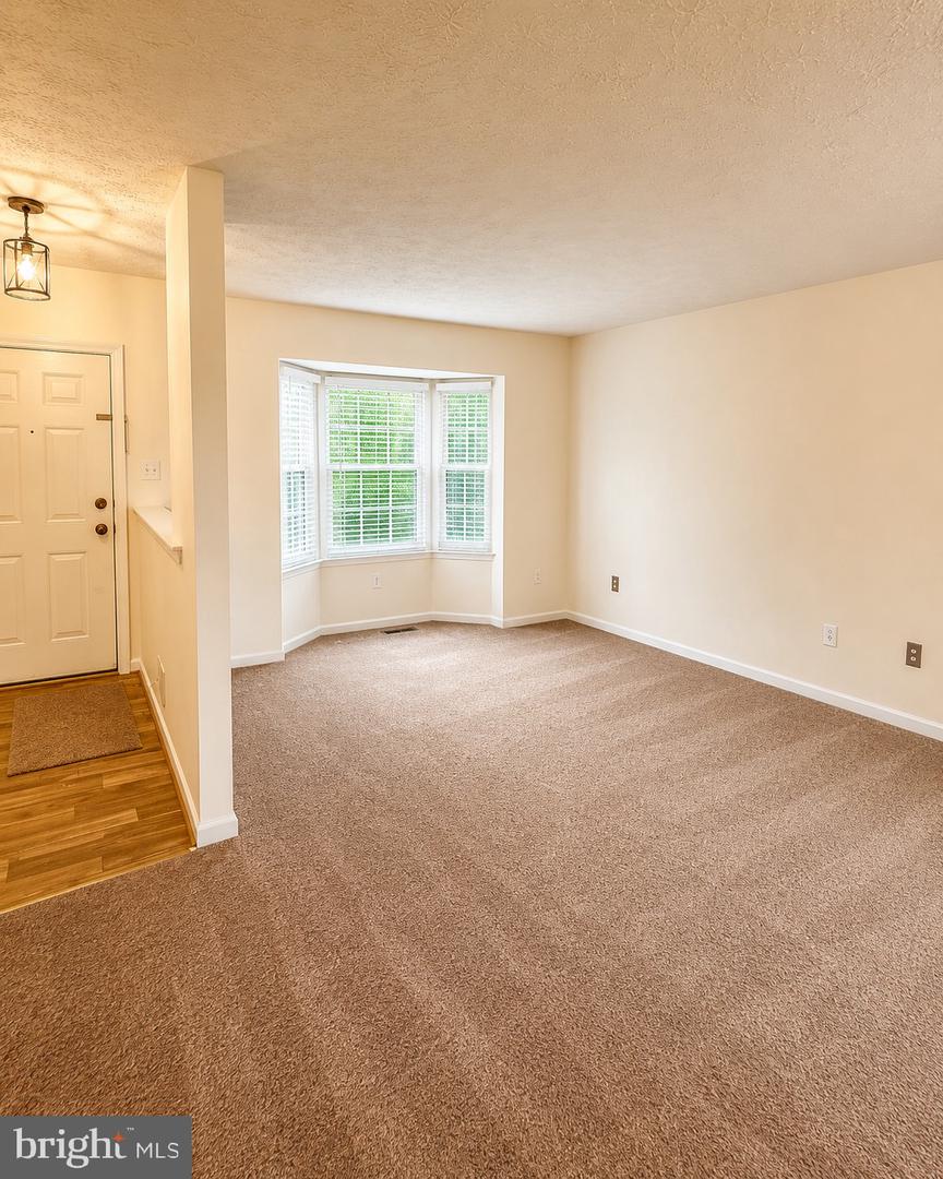7719 Ora Ct Property Photo 3
